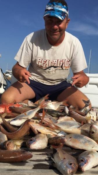 Co-navigation | Nautisme Collaboratif, Découvrez ShareMySea ! | Bateau : Ganguisepêcheur Bluefin2